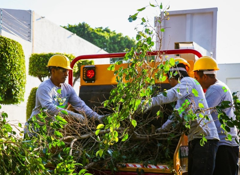 Green Routes through the best parks in Cuernavaca